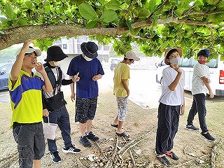 水鳥湿地センター見学